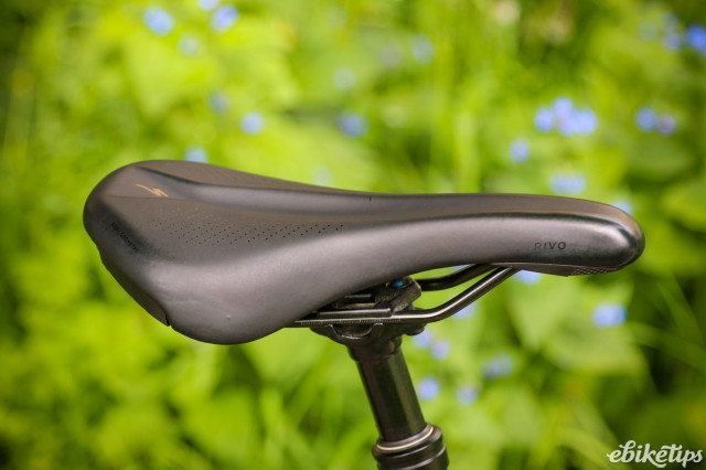 Specialized canopy online saddle